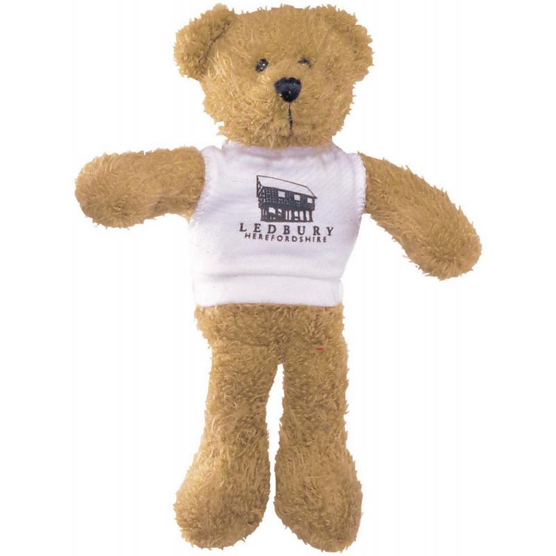 Image of 9'' Scraggy Bear with White T Shirt